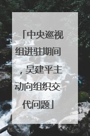 中央巡视组进驻期间，吴建平主动向组织交代问题