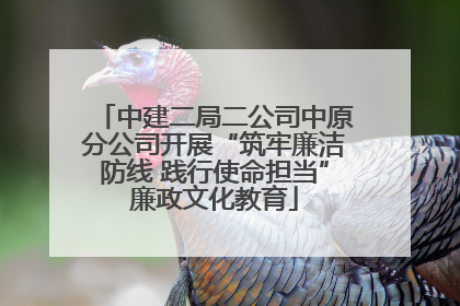 中建二局二公司中原分公司开展“筑牢廉洁防线 践行使命担当”廉政文化教育