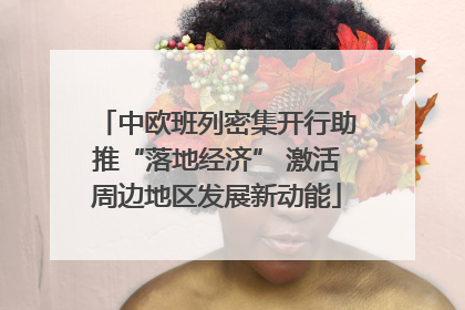 中欧班列密集开行助推“落地经济” 激活周边地区发展新动能