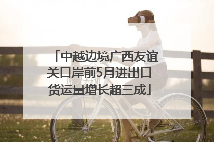 中越边境广西友谊关口岸前5月进出口货运量增长超三成