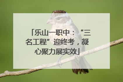 乐山一职中：“三名工程”迎终考，凝心聚力展实效