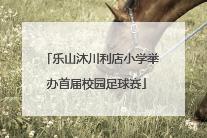 乐山沐川利店小学举办首届校园足球赛