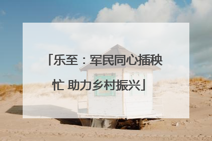 乐至：军民同心插秧忙 助力乡村振兴