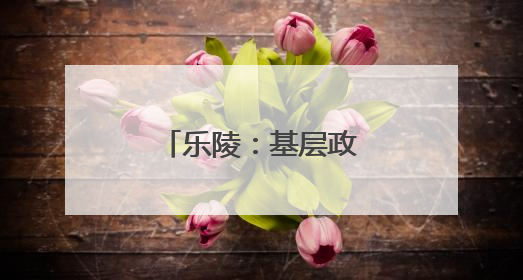乐陵：基层政务服务改革跑出便民新速度