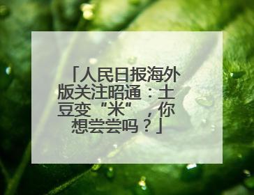 人民日报海外版关注昭通：土豆变“米”，你想尝尝吗？