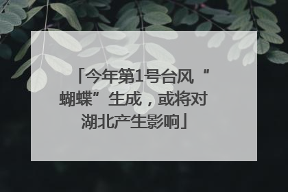 今年第1号台风“蝴蝶”生成，或将对湖北产生影响