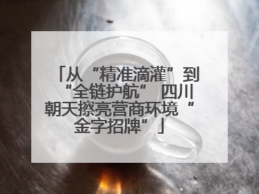 从“精准滴灌”到“全链护航” 四川朝天擦亮营商环境“金字招牌”