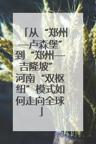 从“郑州—卢森堡”到“郑州—吉隆坡” 河南“双枢纽”模式如何走向全球