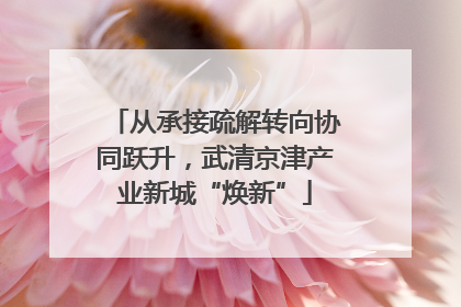 从承接疏解转向协同跃升，武清京津产业新城“焕新”
