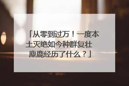 从零到过万！一度本土灭绝如今种群复壮 麋鹿经历了什么？