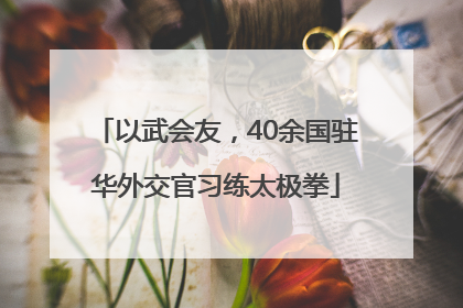 以武会友，40余国驻华外交官习练太极拳