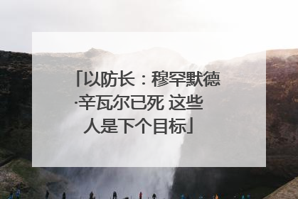 以防长：穆罕默德·辛瓦尔已死 这些人是下个目标