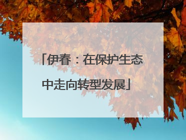 伊春：在保护生态中走向转型发展