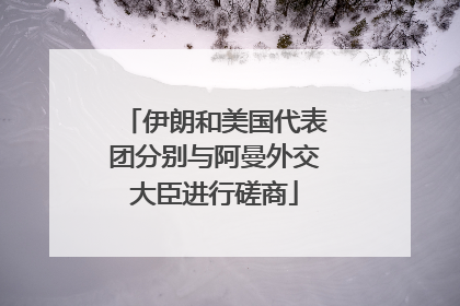 伊朗和美国代表团分别与阿曼外交大臣进行磋商