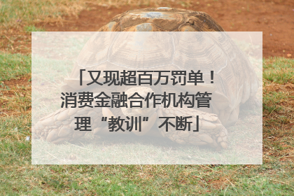 又现超百万罚单！消费金融合作机构管理“教训”不断