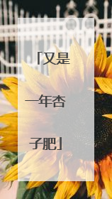 又是一年杏子肥