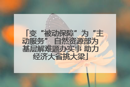 变“被动保障”为“主动服务” 自然资源部为基层解难题办实事 助力经济大省挑大梁
