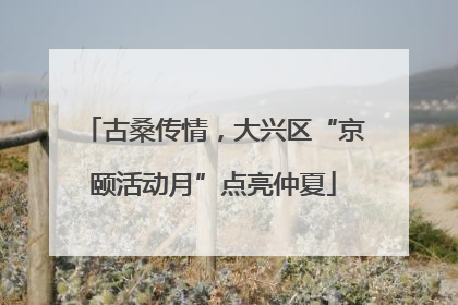 古桑传情，大兴区“京颐活动月”点亮仲夏