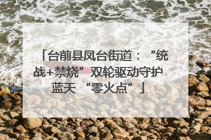 台前县凤台街道：“统战+禁烧”双轮驱动守护蓝天 “零火点”