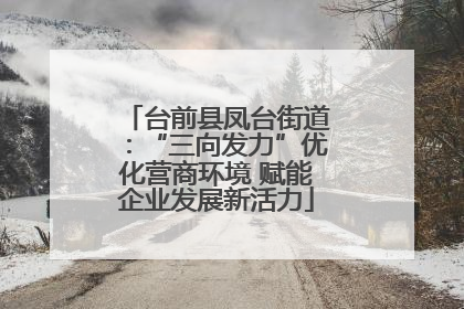 台前县凤台街道：“三向发力”优化营商环境 赋能企业发展新活力