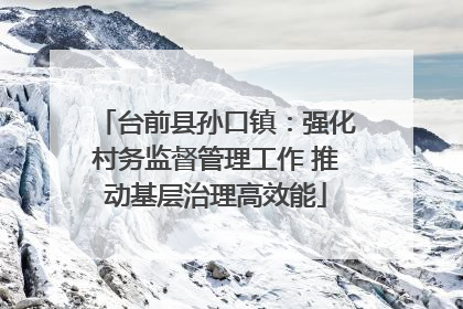 台前县孙口镇：强化村务监督管理工作 推动基层治理高效能