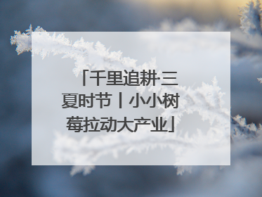 千里追耕·三夏时节丨小小树莓拉动大产业