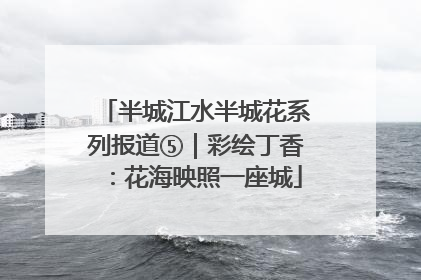 半城江水半城花系列报道⑤｜彩绘丁香：花海映照一座城
