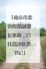 南京市委宣传部副部长张政，已任高淳区委书记