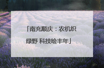 南充顺庆：农机织绿野 科技绘丰年