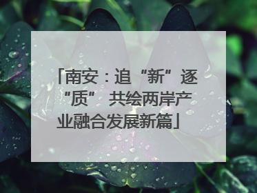 南安：追“新”逐“质” 共绘两岸产业融合发展新篇