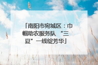 南阳市宛城区：巾帼助农服务队 “三夏”一线绽芳华