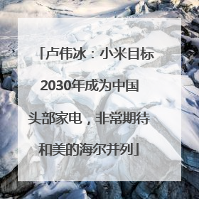 卢伟冰：小米目标2030年成为中国头部家电，非常期待和美的海尔并列