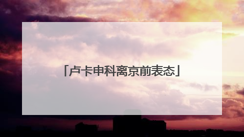 卢卡申科离京前表态