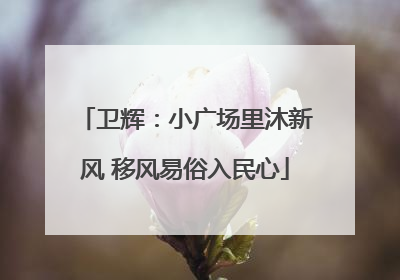 卫辉：小广场里沐新风 移风易俗入民心