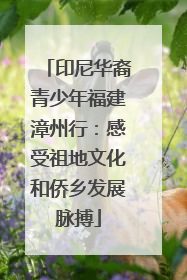 印尼华裔青少年福建漳州行：感受祖地文化和侨乡发展脉搏