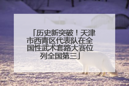 历史新突破！天津市西青区代表队在全国性武术套路大赛位列全国第三