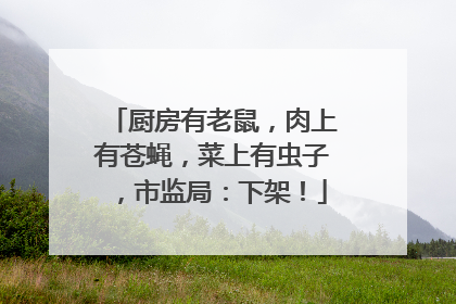 厨房有老鼠，肉上有苍蝇，菜上有虫子，市监局：下架！