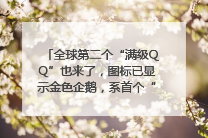 全球第二个“满级QQ”也来了，图标已显示金色企鹅，系首个“满级QQ”的小号