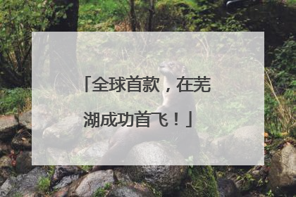全球首款，在芜湖成功首飞！
