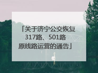 关于济宁公交恢复317路、501路原线路运营的通告