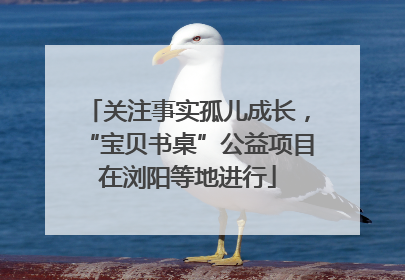 关注事实孤儿成长，“宝贝书桌”公益项目在浏阳等地进行
