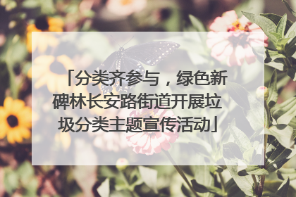 分类齐参与，绿色新碑林长安路街道开展垃圾分类主题宣传活动