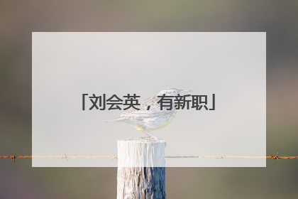 刘会英，有新职