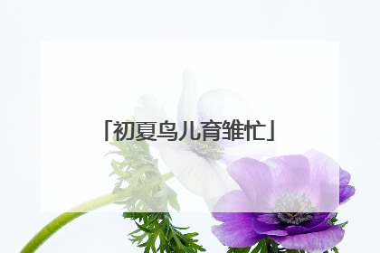 初夏鸟儿育雏忙