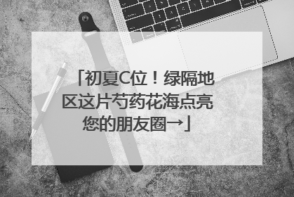 初夏C位！绿隔地区这片芍药花海点亮您的朋友圈→