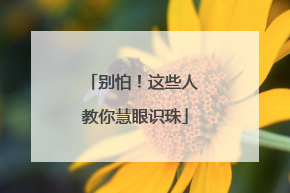 别怕！这些人教你慧眼识珠