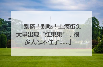 别摘！别吃！上海街头大量出现“红果果”，很多人忍不住了……
