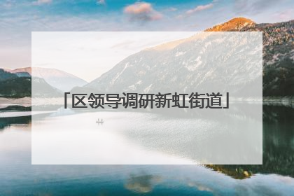 区领导调研新虹街道