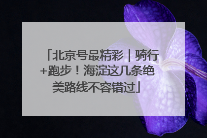 北京号最精彩｜骑行+跑步！海淀这几条绝美路线不容错过