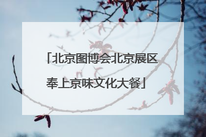 北京图博会北京展区奉上京味文化大餐